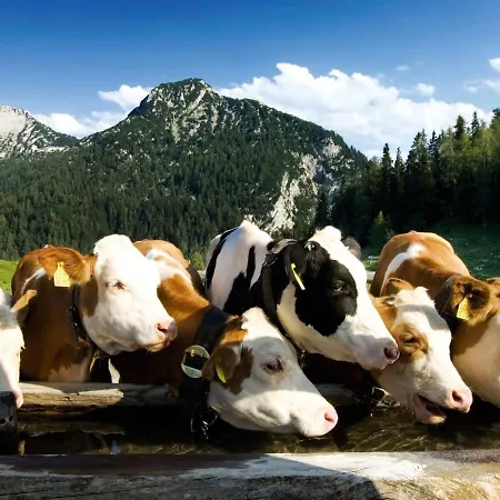 In Huettschlag Near The Ski Slopes شقة *