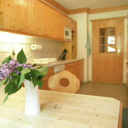 Apartmán In Huettschlag Near The Ski Slopes *