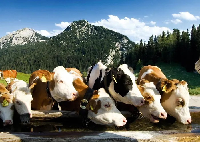 In Huettschlag Near The Ski Slopes דירה *